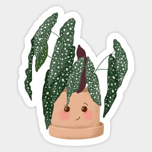 Cute Begonia plant Sticker